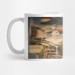 Portrait of Larus californicus Mug